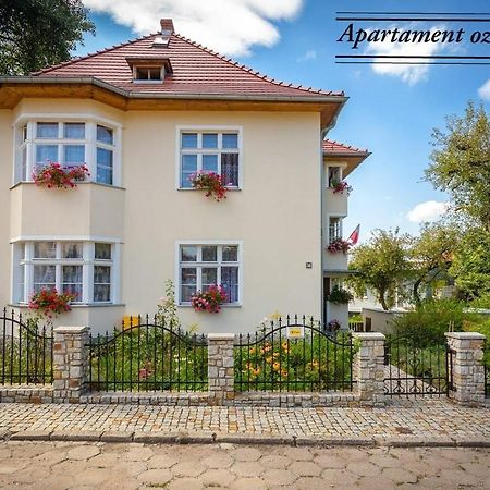 Apartament Dom Pod Rybią Skałą Jelenia Góra Zewnętrze zdjęcie