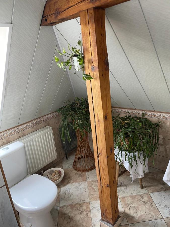 Apartament Dom Pod Rybią Skałą Jelenia Góra Zewnętrze zdjęcie